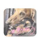 ゃぉぃの♡♡（個別スタンプ：26）