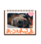 ゃぉぃの♡♡（個別スタンプ：28）