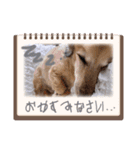 ゃぉぃの♡♡（個別スタンプ：31）