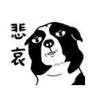 牛犬牛 犬牛犬 - 日常（個別スタンプ：20）