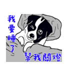 牛犬牛 犬牛犬 - 日常（個別スタンプ：22）