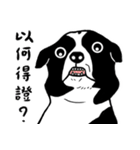 牛犬牛 犬牛犬 - 日常（個別スタンプ：24）