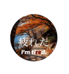 目の保養になるメッセージ（個別スタンプ：16）