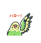 セキセイインコスタンプ黄緑【修正版】（個別スタンプ：1）