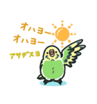 セキセイインコスタンプ黄緑【修正版】（個別スタンプ：2）