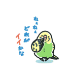 セキセイインコスタンプ黄緑【修正版】（個別スタンプ：22）