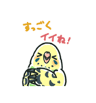 セキセイインコスタンプ黄緑【修正版】（個別スタンプ：26）