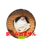 もちもちつくねスタンプ2（個別スタンプ：3）