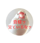 もちもちつくねスタンプ2（個別スタンプ：5）