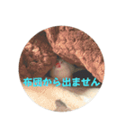 もちもちつくねスタンプ2（個別スタンプ：6）