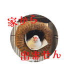もちもちつくねスタンプ2（個別スタンプ：8）