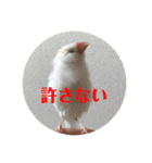 もちもちつくねスタンプ2（個別スタンプ：14）