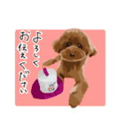 つむぎ日和（個別スタンプ：8）