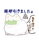 日常で使える！敬語編。猫さんスタンプ（個別スタンプ：5）