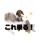 ぶんしゃんの日常会話2（個別スタンプ：6）