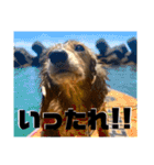 ぶんしゃんの日常会話2（個別スタンプ：29）