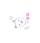 手書きのポメ（個別スタンプ：16）