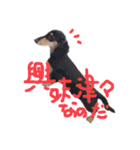 ゃぉぃちゃんの♡（個別スタンプ：4）