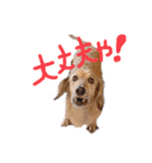 ゃぉぃちゃんの♡（個別スタンプ：13）