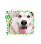 ゃぉぃちゃんの♡（個別スタンプ：21）