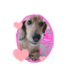 ゃぉぃちゃんの♡（個別スタンプ：39）
