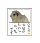 政宗とぼんじり（個別スタンプ：9）