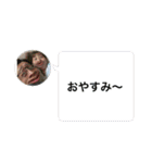 anostam（個別スタンプ：10）