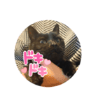 黒猫はるみ（個別スタンプ：8）