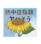 飛び出す【夏のお手紙 2】（個別スタンプ：4）