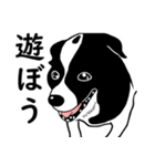 牛犬牛 犬牛犬 - 日常（個別スタンプ：1）