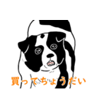 牛犬牛 犬牛犬 - 日常（個別スタンプ：28）