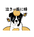 牛犬牛 犬牛犬 - 日常（個別スタンプ：38）