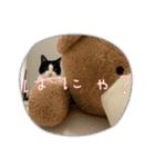 RIRI＆RON⑧（個別スタンプ：1）