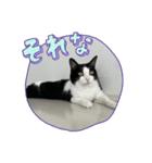 RIRI＆RON⑧（個別スタンプ：2）