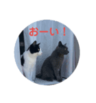 RIRI＆RON⑧（個別スタンプ：5）