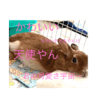うさぎのティナちゃん2（個別スタンプ：8）