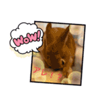 うさぎのティナちゃん3 withメダカの仲間（個別スタンプ：3）