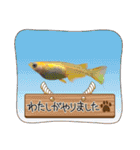 うさぎのティナちゃん3 withメダカの仲間（個別スタンプ：4）