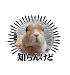 うさぎのティナちゃん3 withメダカの仲間（個別スタンプ：10）