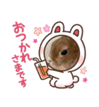 うさぎのティナちゃん3 withメダカの仲間（個別スタンプ：13）