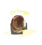 うさぎのティナちゃん3 withメダカの仲間（個別スタンプ：14）