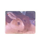 うさぎのティナちゃん3 withメダカの仲間（個別スタンプ：15）