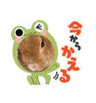 うさぎのティナちゃん3 withメダカの仲間（個別スタンプ：20）