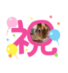 うさぎのティナちゃん3 withメダカの仲間（個別スタンプ：23）
