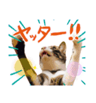 テコの応用スタンプたち（個別スタンプ：6）