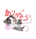 テコの応用スタンプたち（個別スタンプ：9）