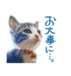 テコの応用スタンプたち（個別スタンプ：18）