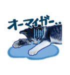 テコの応用スタンプたち（個別スタンプ：39）