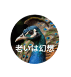 言葉が時代を彩る: 新時代の名言スタンプ（個別スタンプ：5）