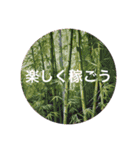 言葉が時代を彩る: 新時代の名言スタンプ（個別スタンプ：11）